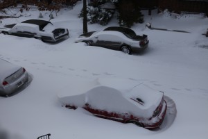 Cars buried in snow in Queens (Photo by Maurice Pinzon) Cars buried in snow in Queens (Photo by Maurice Pinzon)
